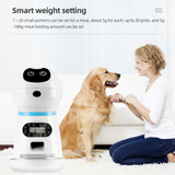 Smart Automatic Pet Feeder With Voice Record Stainless Steel LCD Screen Timer for Dog Food Bowl Cat Food Dispenser Pet Supplies