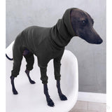 Spring Greyhound dog clothes thin high-neck four-legged clothes, solid color stretch comfortable dog clothes Italian Greyhound
