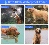 Dog Training Collar Remote Electric Shock sound Rechargeable For small big Dogs training accessories 99 levels For dropsshipping