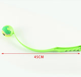 Pet Training Tool Ball Throwers Pet Throw Cue For Medium Cat Dog Outdoor Funny Training Pet Interactive Toy Dog Accessories 2022