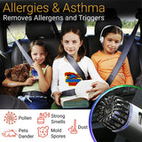 Car Air Purifier Ionizer - 12V Plug-in Ionic Anti-Microbial Car Deodorizer with Dual USB Charger moke Smell Pet and Food Odors