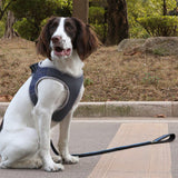 Pet Dog harness Reflective nylon For large small dogs cats chest strap collars chihuahua husky Training Walking dog supplies