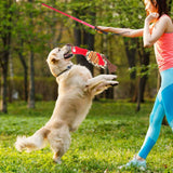 Funny Flirt Pole Interactive Dog Toys Durable Indestructible Chasing Tail Teaser and Training Toy Chewing Rope for Dog