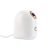 Frequency Facial Steamer Brand New With High Quality Original