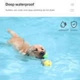 800m Remote Control Dog Training Device Rechargeable Waterproof Electric Shock Collar Bark Stopper Vibration Training Artifact