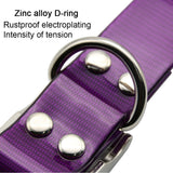 Pet Dog collar New Fashion High quality TPU+Nylon Waterproof Deodorant Resistant dirt Easy clean collars 7 Colors Pet Supplies