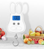 Portable 50Kg 10g Hanging Scale Digital Scale LCD Blue BackLight Electronic Fishing Weights Pocket Scale Luggage Scales