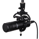 Alctron BC800V2 High quality dynamic broadcasting mic vocal/studio recording,instrument picking up, for radio/live broadcast