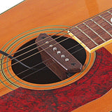 6 String Acoustic Folk Guitar Clear Warm Sound Soundhole Pickup Set