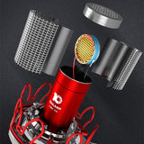 P30 Professional Microphone, Live singing set, Recording and repairing artifact, large diaphragm 34mm microphone core
