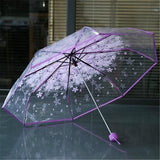 Transparent Umbrellas For Protect Against Wind And Rain Clear Sakura 3 Fold Umbrella Clear Field Of Vision Household Rain Gear