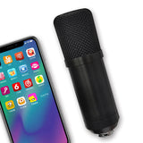 BM700 Microphone Set USB interface plug and play high sampling rate 192KHZ/24Bit compatible with mobile phone/PAD