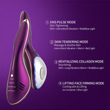 EMS Ice Warm Therapy Anti Wrinkle Skin Iron Facial Lifting Device Face Neck Body Massager Chin V-line Up Skin Tightening Machine