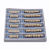 168 pieces/6sets /box Dental Synthetic Polymer Teeth Full Set Resin Denture Dental Teeth Color A2 A3 Size 23 Dentist Materials
