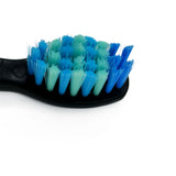 10pcs seago electric toothbrush heads Replacement Sonic Toothbrush Care 899 Set (10 heads) for SG910/507/958/515/949/575/551