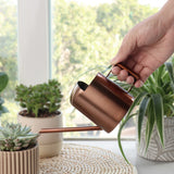 300ml With Handle Indoor Outdoor Simple Plants Pot Home Garden Easy Refill Ergonomic Design For Kids Stainless Steel Water Can