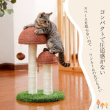 Local Domestic Delivery Cat Climbing Frame Cat Scratching Post Tree Scratcher Furniture Gym House Toy Cat Jumping Training Toy