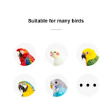 Funny Bird Parrot Toys Set Activity Pet Basketball Skateboard For Canaries Supplies for Bird Cage Parrot Skate Vogel
