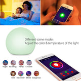 Smart WiFi Light Smart Voice Control Ambient Lamp Music Rhythm Lighting Portable Lamp Touch Control Tuya APP Smart Home