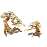 Driftwood Aquarium Decoration Driftwood Branches Aquarium Bonsai Moss Trunk Natural Wood Fish Tank Decoration Plant Stump Decor