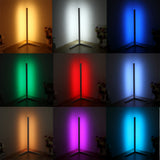 LED Floor Lamp Standing Lamps Modern Simple 5050 30 LED Standing Lights Modern Style Iron Painted Floor Lamp