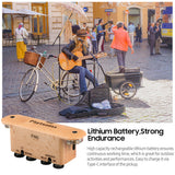 FLATSONS FR6 BT Pickup Guitar Soundhole Rechargeable Pickup with Reverberation/ Delay Effect, Acoustic Coverage Enhancer