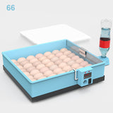 20-66 Eggs Incubator Brooder Bionic Waterbed Design Goose Duck Quail Pigeon Poultry Brooder Automatic Farm Hatchery Tool