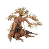 Driftwood Aquarium Decoration Driftwood Branches Aquarium Bonsai Moss Trunk Natural Wood Fish Tank Decoration Plant Stump Decor