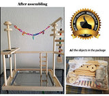 Large Parrot Playstand Bird Play Stand Cockatiel Playground Wood Perch Gym Playpen Ladder with Feeder Cups Toys (Include a Tray)