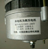 600W-1300W Permanent Magnet Generator Brushless Constant Voltage Household Generator 11-20 A Aluminum Alloy DC 220V-260V