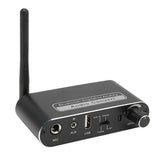 Bluetooth 5.1 Digital Amplifier HiFi Stereo Analog to Digital Converter with Mic for Home Speaker Theater Systems Amplifiers