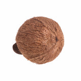 Bird Parrot Nest Natural Coconut Shell Hanging Chain Cage Toys Swing House Finch Sparrows Birds Nest Supplies