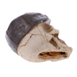 Resin Simulation Head Bone Skull Shape Terrarium Reptile Hide Cave Aquarium Fish Tank Landscape Decor Ornament