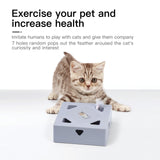 Mewoofun Interactive Cat Toys Kitten Toy for Indoor Cats USB Rechargeable Peek-A-Boo Play Automatic Electronic Feather &amp; Mouse