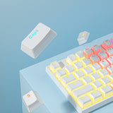 87 Keys Gaming Wired Mechanical Keyboard Pudding Keycap Blue Switch RGB Backlit Teclado Gamer for PC Laptop