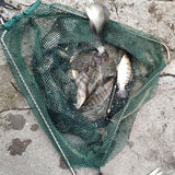 Outdoor Automatic Fishing Device Lazy Fishing Automatic Feeder Stainless Steel Portable Light Weight Automatic Fishing Equipment