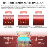 Permanent IPL Laser Epilator 550000 Flash LCD Professional Laser Hair Removal Head Painless Hair Remover Machine Photoepilator