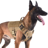 Tactical Dog Harness with 2X Metal Buckle Dog Walking Training molle Vest with Handle Hook and Loop Panels for Dog Patch