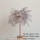 DIY Creative Feather Table Lamp Warm White Light Tree Feather Lampshade Girl LED Wedding Decorative Lights Pink White Birthday