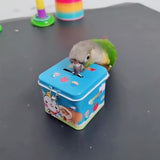 Bird Toy Parrot Toy Set Parrot Scooter Training Toy Hollow Rolling Bell Ball Bird Toy Parakeet Cockatiel Parrot Chew Fun Toy 7pc