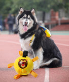 Dog Toys Interactive Pet Football Toys with Grab Tabs Dog Outdoor Training Soccer Pet Bite Chew Balls for Dog Accessories