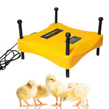 Chick Brooder Heating Plate Adjustable Height Chicken Coop Heater Temperature Controller Incubator 30 Watt Warm Up to 20 Chicks