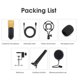 Professional BM700 USB Microphone Home Stereo Sound Recording Condenser PC Microphone for Party Online Meeting Karaoke Vocal mic