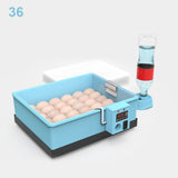 20-66 Eggs Incubator Brooder Bionic Waterbed Design Goose Duck Quail Pigeon Poultry Brooder Automatic Farm Hatchery Tool