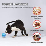 Interactive Dog Toy Wicked Ball for Indoor Cats/Dogs with Motion Activated/USB Rechargeable