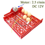 20 Egg Incubator Turn Eggs Tray Eggtester Automatic Incubator Controller Experimental Teaching Equipment
