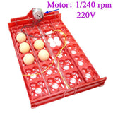 Incubator 96 Eggs Bird Incubator Egg Rack Tray 24 Automatic Egg Incubator 48 Eggs Quail Parrot Incubation Tool Free Shipping