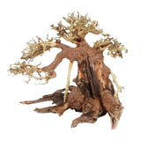 Driftwood Aquarium Decoration Driftwood Branches Aquarium Bonsai Moss Trunk Natural Wood Fish Tank Decoration Plant Stump Decor