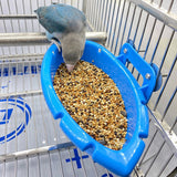 Bird Bath Tub Bowl Basin Parrot Cage Hanging Bathtub Box Bird Feeder Birdbath Parrot Bath Swimsuit Supplies