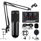 Professional Microphone XLR Wired Handheld Mic Vocals Recording Studio Condenser Microphone for Gaming PC Karaoke Portable Mic